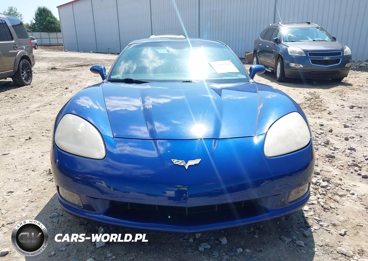 2006 Chevrolet Corvette VIN:1G1YY26U465131390 - 12