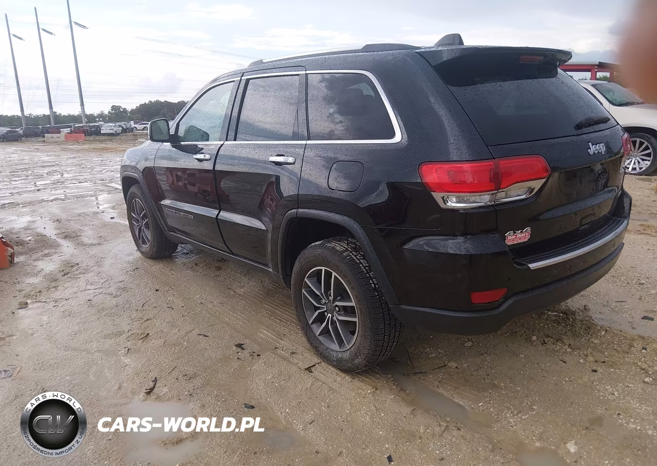 2019 Jeep Grand Cherokee Limited 4X4 VIN:1C4RJFBG5KC713253 - 3