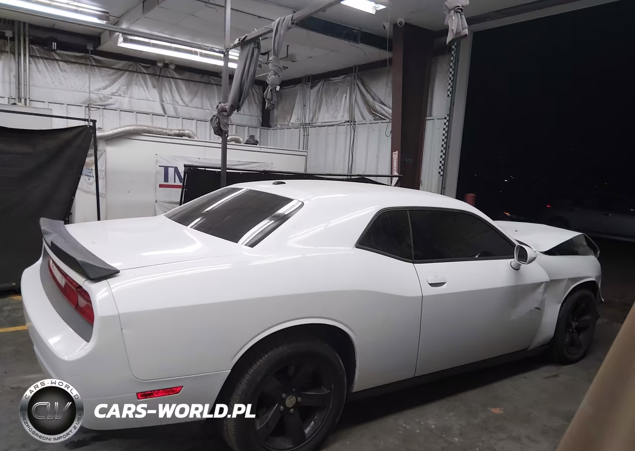 2013 Dodge Challenger Sxt VIN:2C3CDYAG9DH501048 - 13