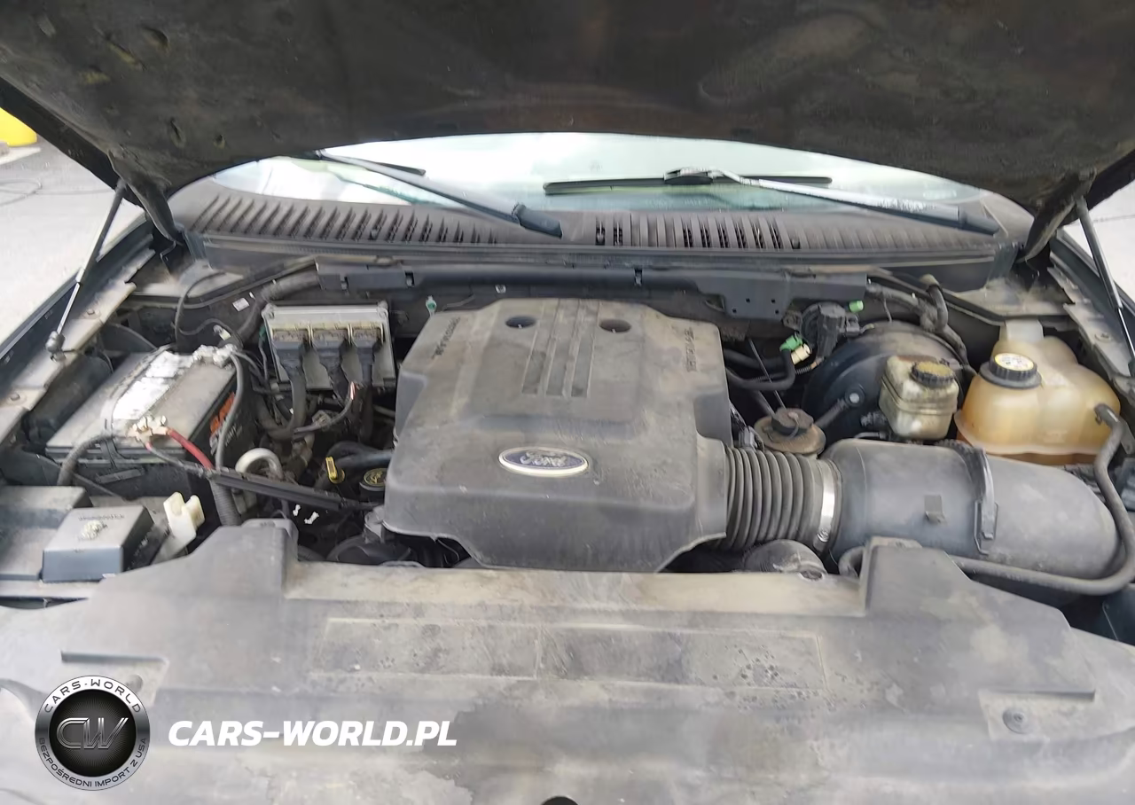 2004 Ford Expedition Eddie Bauer VIN:1FMEU17W84LA14335 - 10
