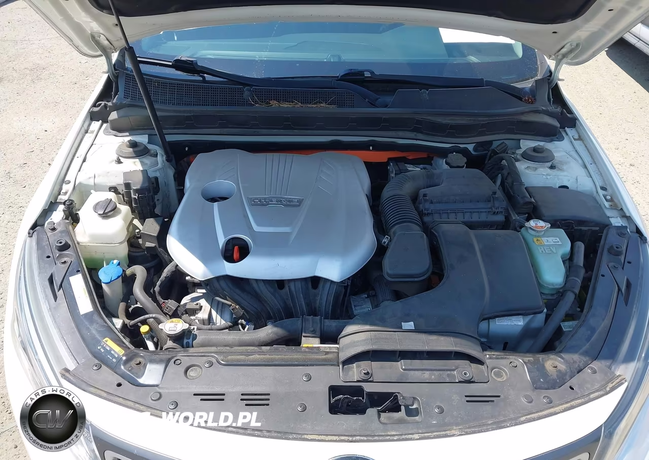 2015 Kia Optima Hybrid Ex VIN:KNAGN4AD8F5084618 - 10