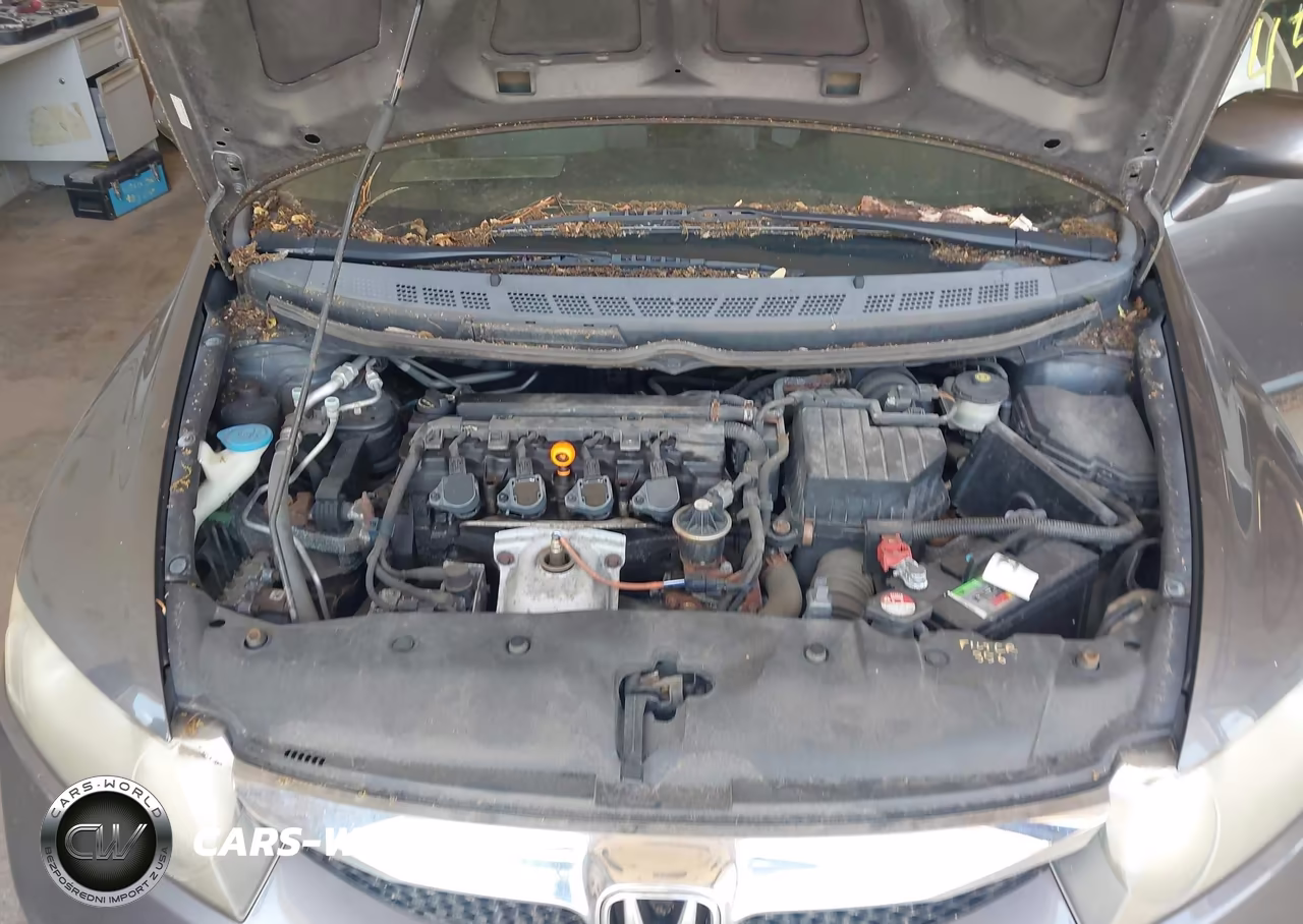 2009 Honda Civic Lx VIN:19XFA16509E048764 - 10