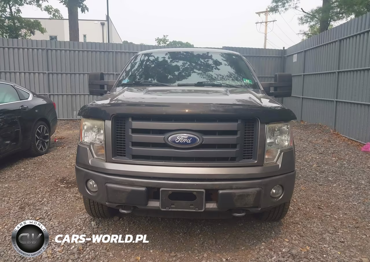 2010 Ford F-150 Stx-Xl VIN:1FTEX1EW6AFA08848 - 12