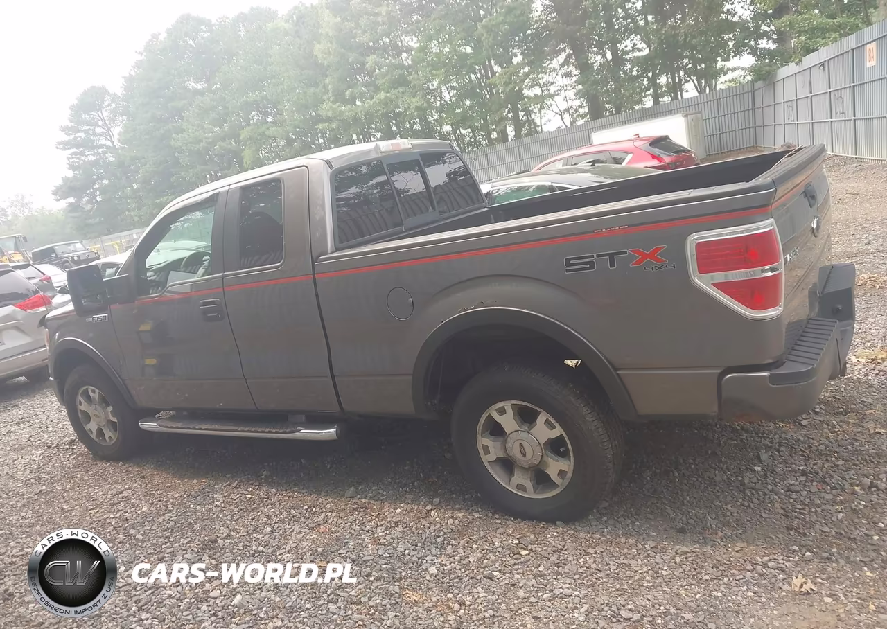 2010 Ford F-150 Stx-Xl VIN:1FTEX1EW6AFA08848 - 14