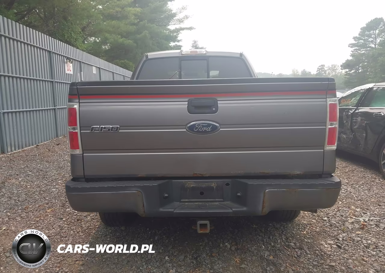 2010 Ford F-150 Stx-Xl VIN:1FTEX1EW6AFA08848 - 16