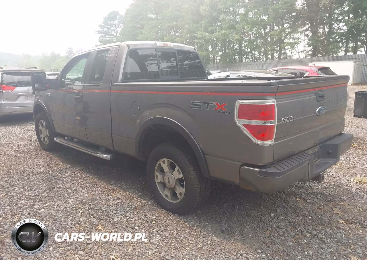 2010 Ford F-150 Stx-Xl VIN:1FTEX1EW6AFA08848 - 3