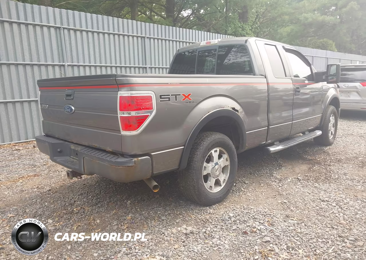 2010 Ford F-150 Stx-Xl VIN:1FTEX1EW6AFA08848 - 4