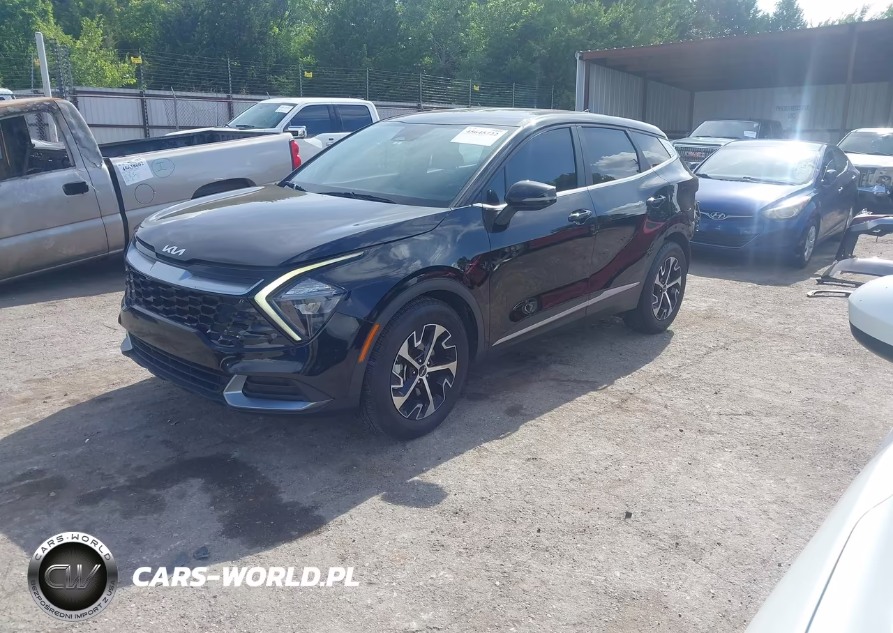 2023 Kia Sportage Ex VIN:5XYK33AF1PG009766 - 2