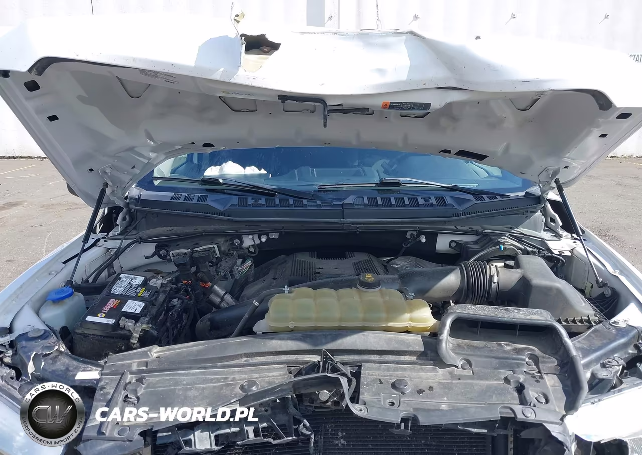 2019 Ford F-150 Xl VIN:1FTFX1E45KKE45218 - 10