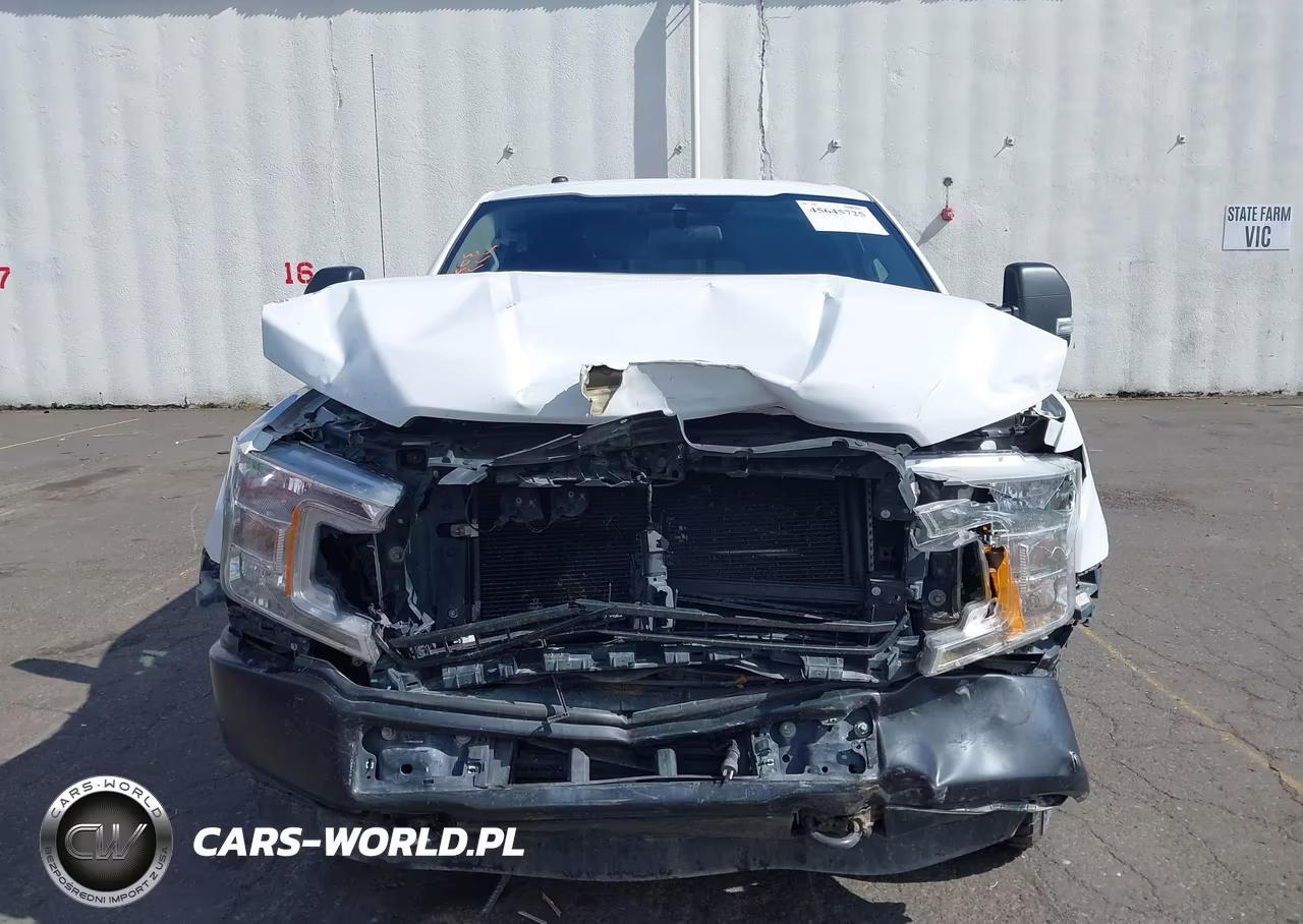 2019 Ford F-150 Xl VIN:1FTFX1E45KKE45218 - 12