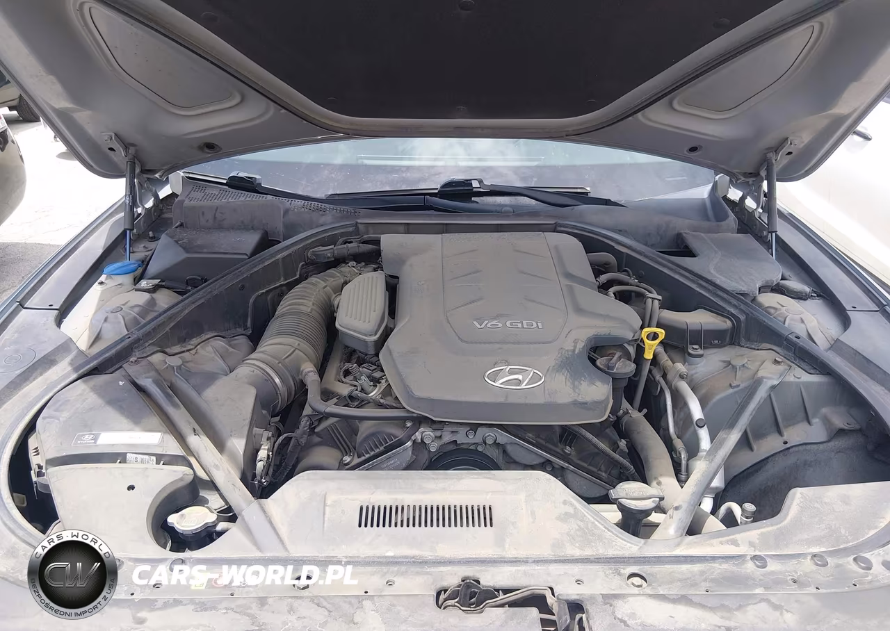 2015 Hyundai Genesis 3.8 VIN:KMHGN4JE3FU080554 - 10