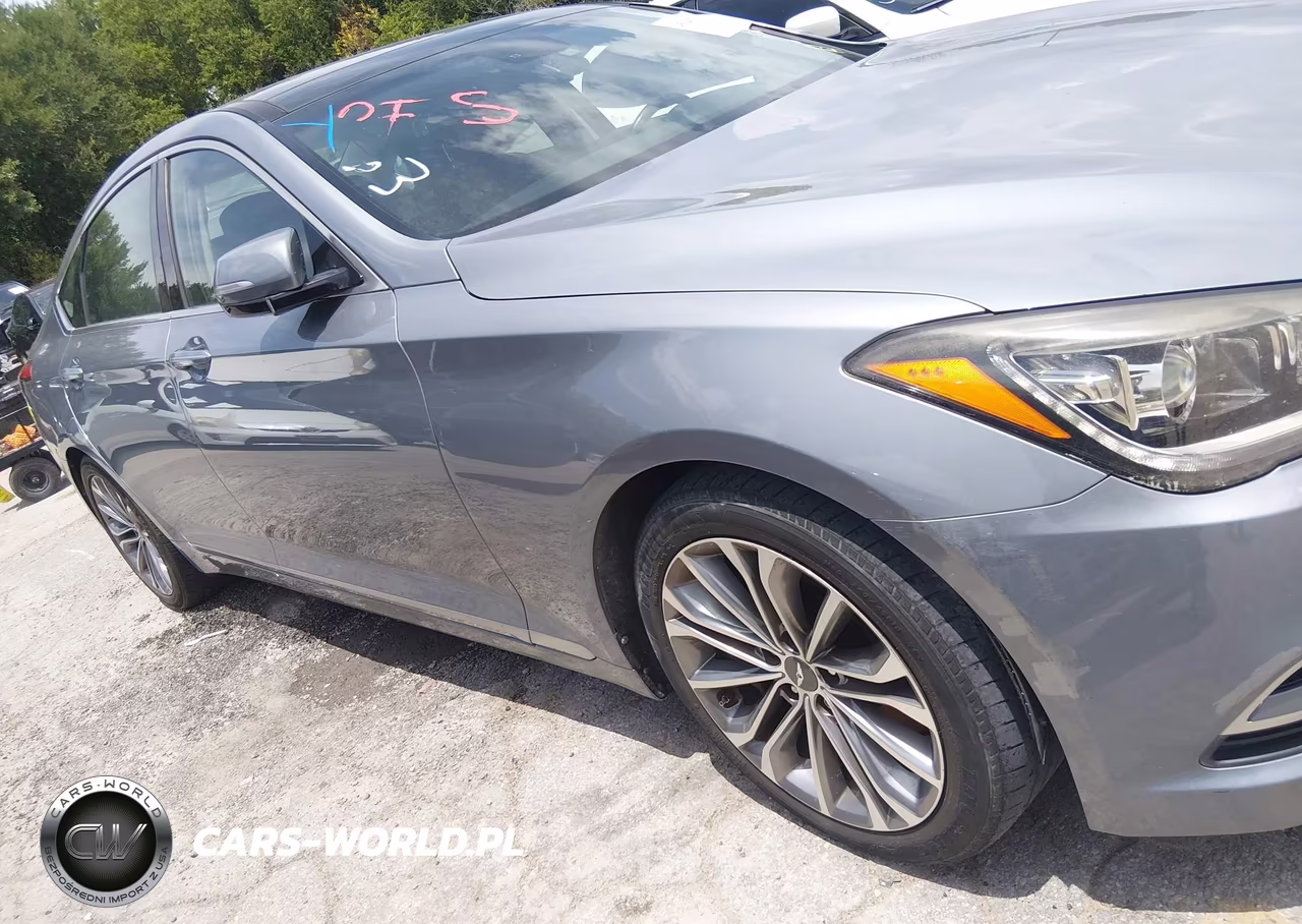 2015 Hyundai Genesis 3.8 VIN:KMHGN4JE3FU080554 - 13