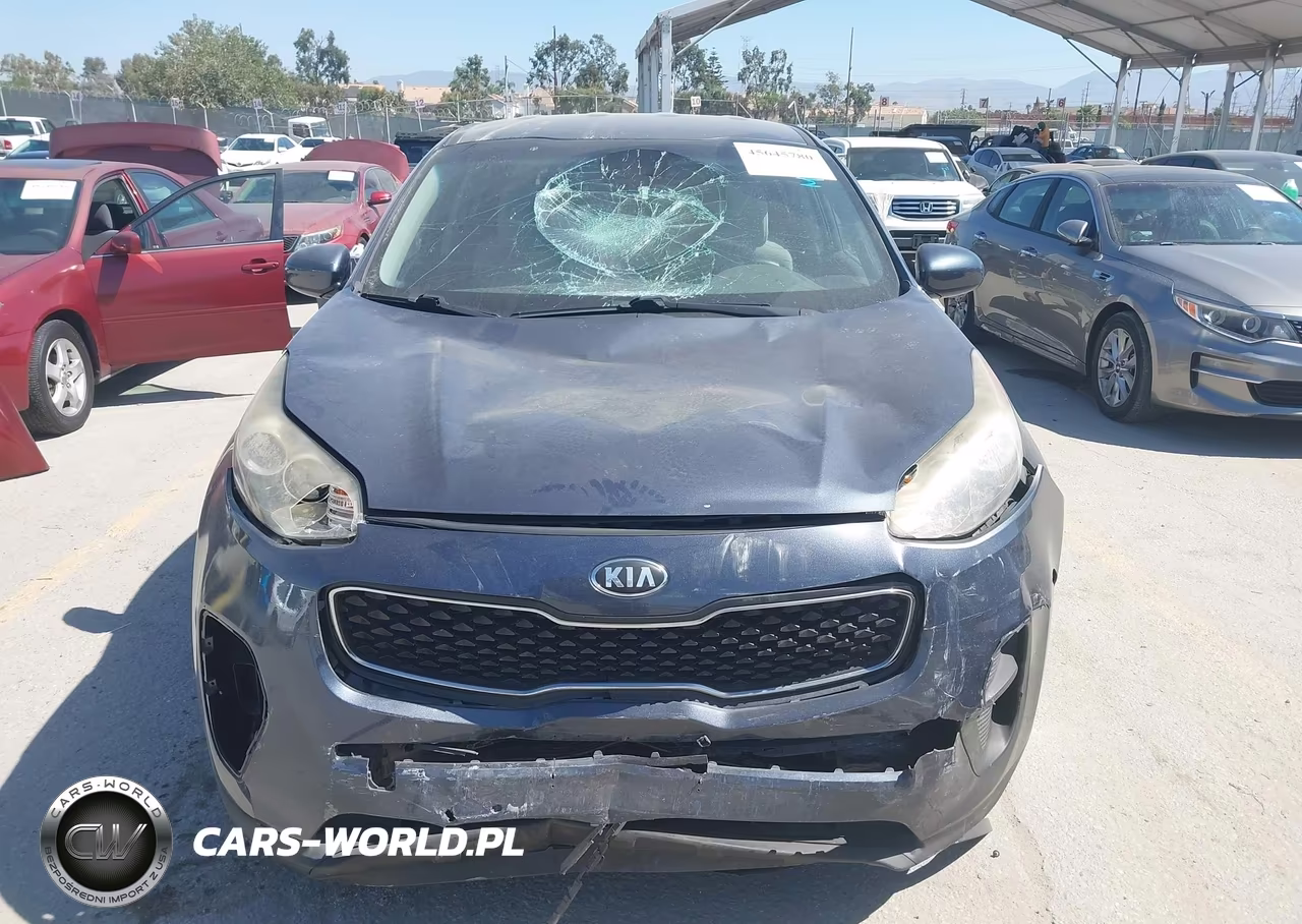 2018 Kia Sportage Lx VIN:KNDPM3AC9J7484952 - 12