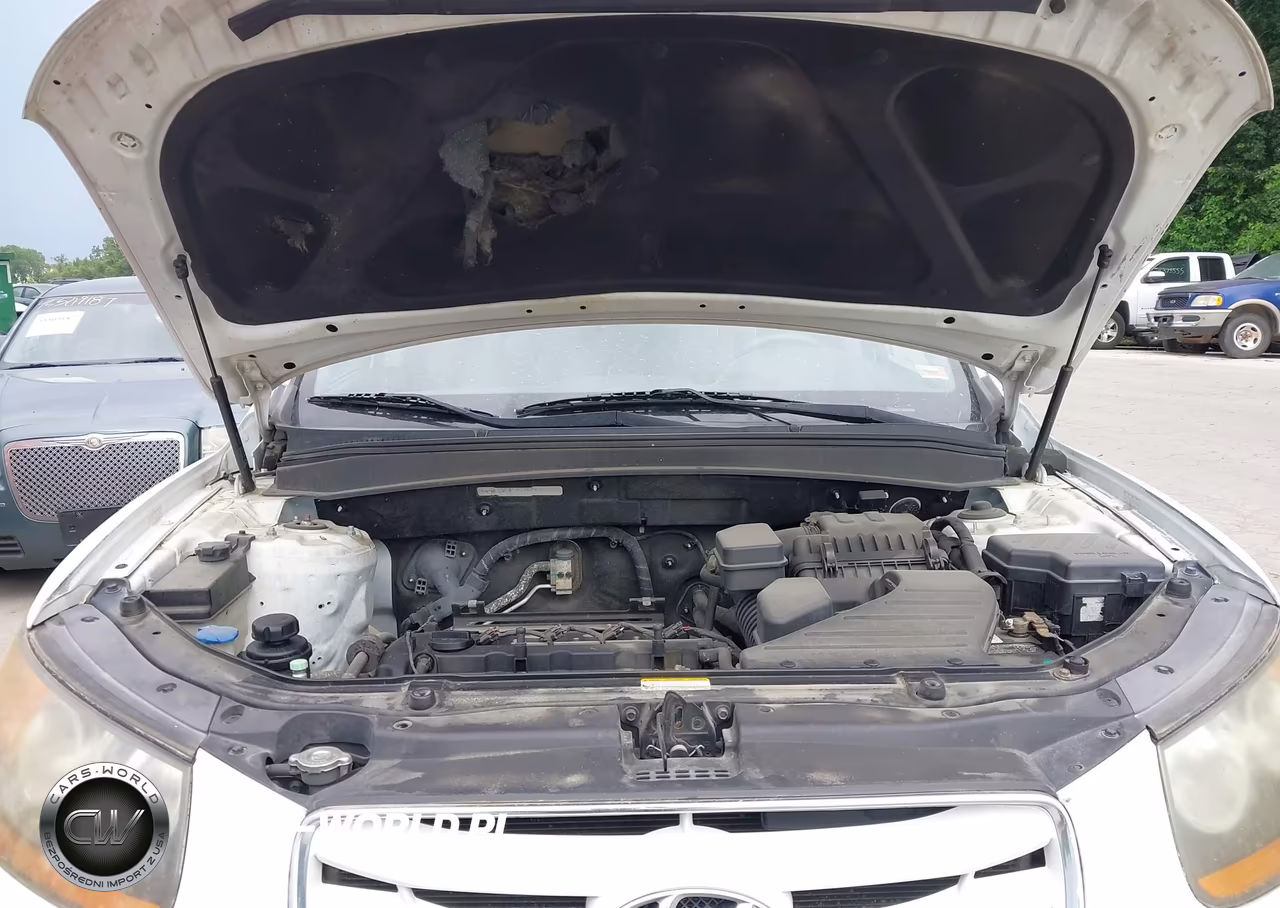 2010 Hyundai Santa Fe Gls VIN:5NMSGDAB1AH367406 - 10