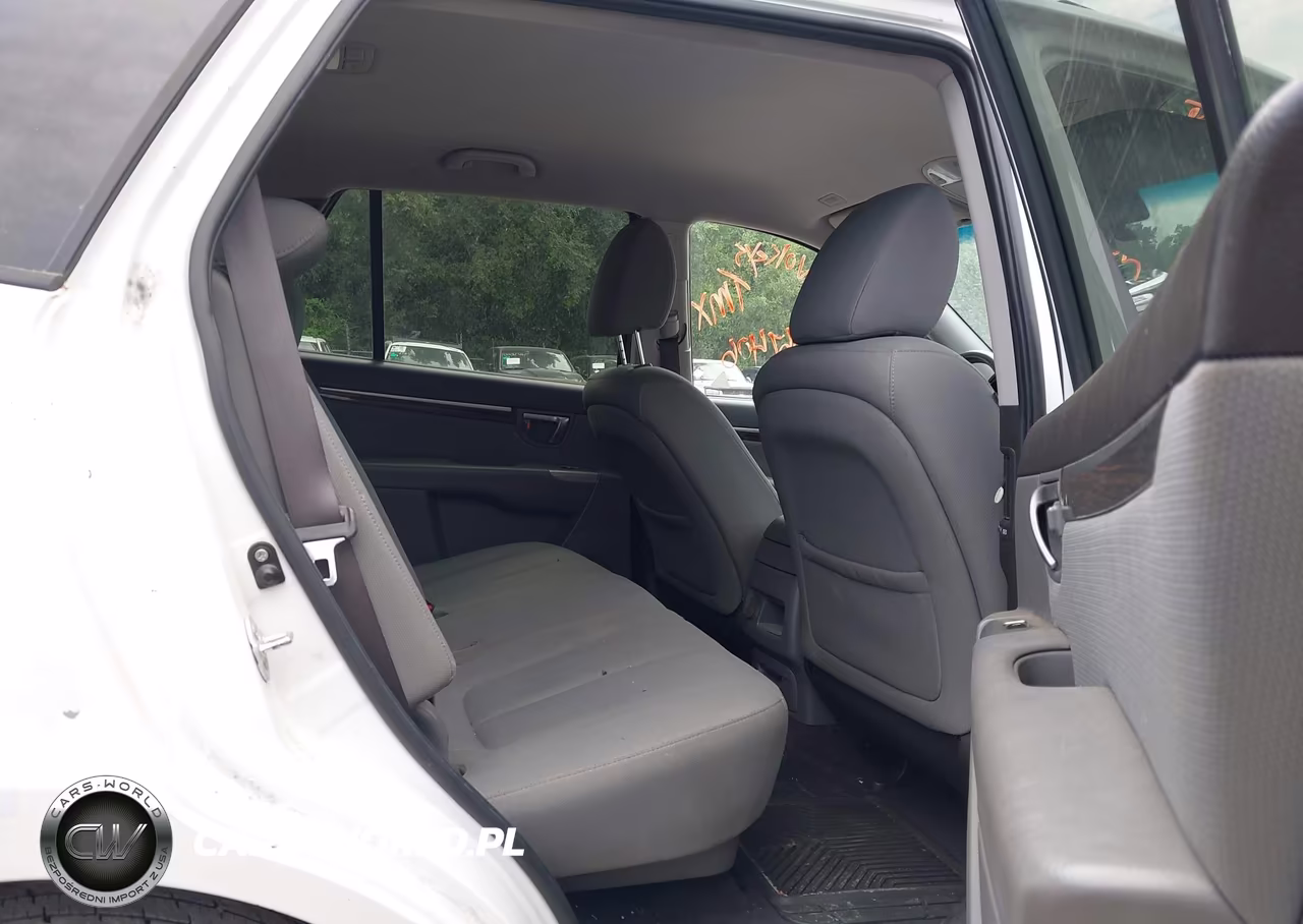 2010 Hyundai Santa Fe Gls VIN:5NMSGDAB1AH367406 - 8