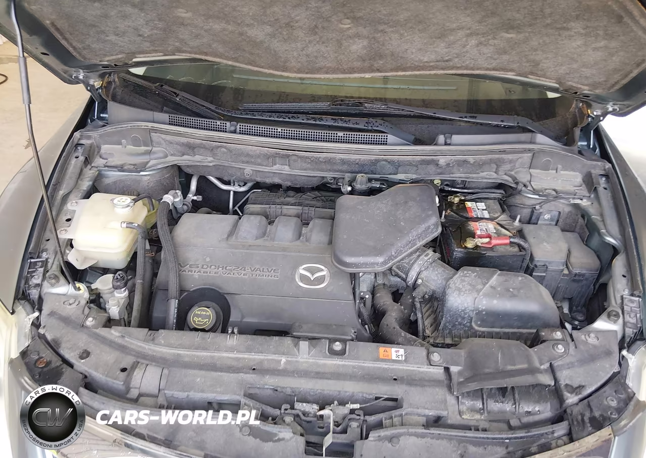 2010 Mazda Cx-9 Touring VIN:JM3TB3MV1A0213319 - 10
