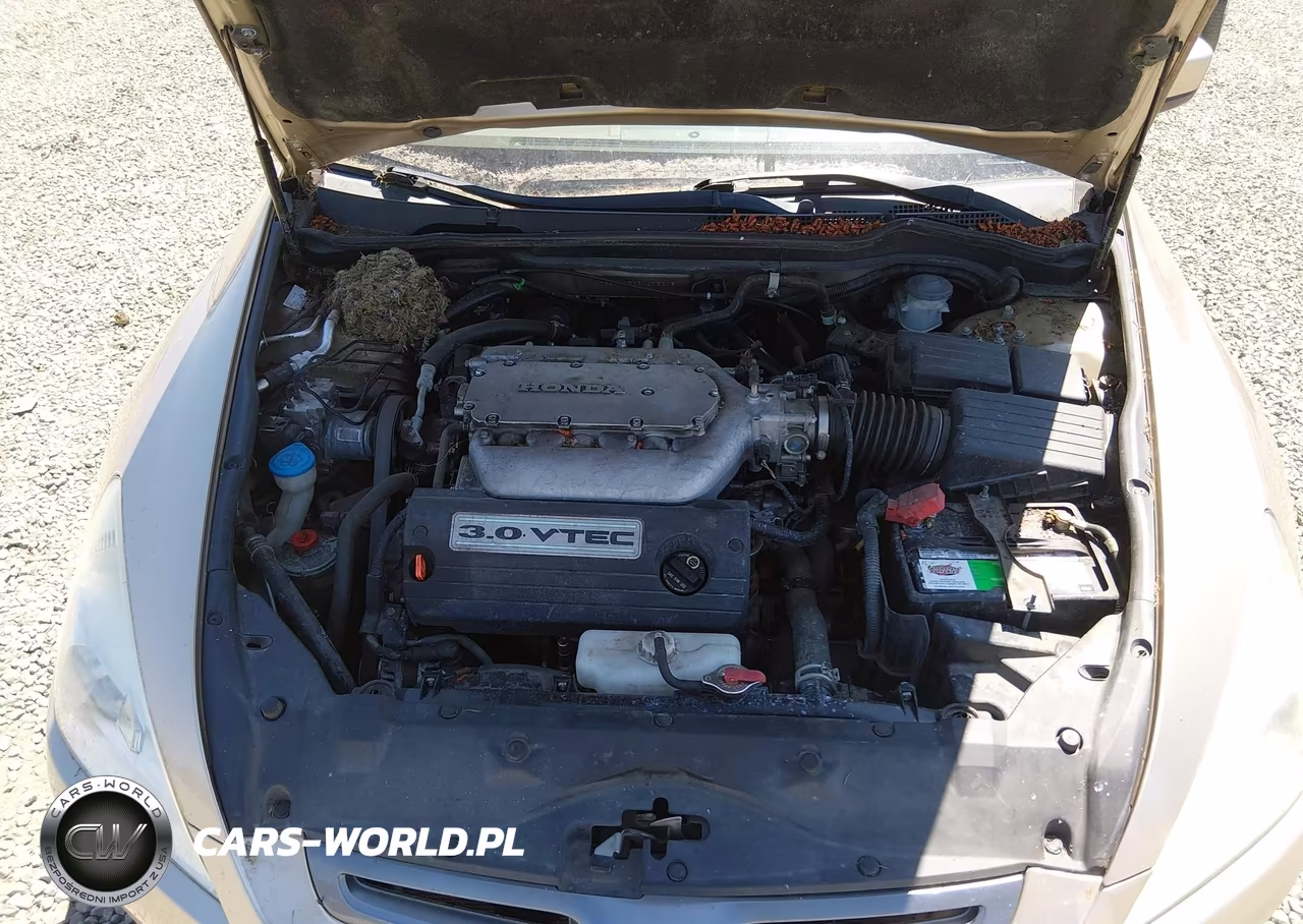 2005 Honda Accord 3.0 Ex VIN:1HGCM66535A075205 - 10