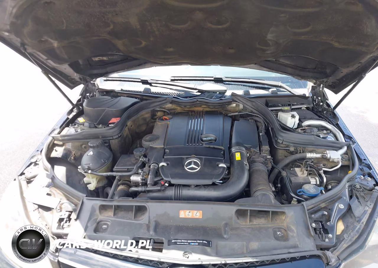 2015 Mercedes-Benz C 250 VIN:WDDGJ4HB1FG392131 - 10