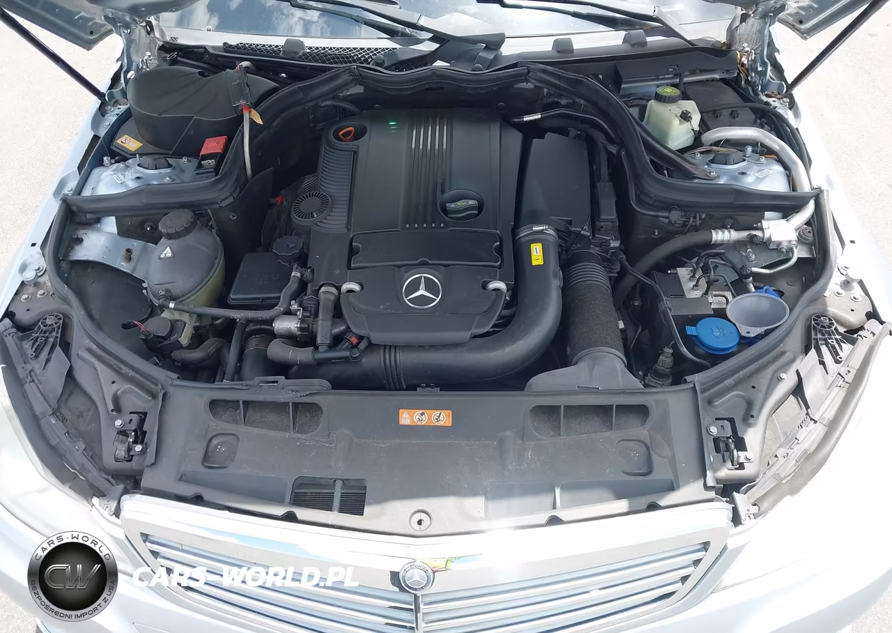 2013 Mercedes-Benz C 250 Luxury-Sport VIN:WDDGF4HB5DA838590 - 10
