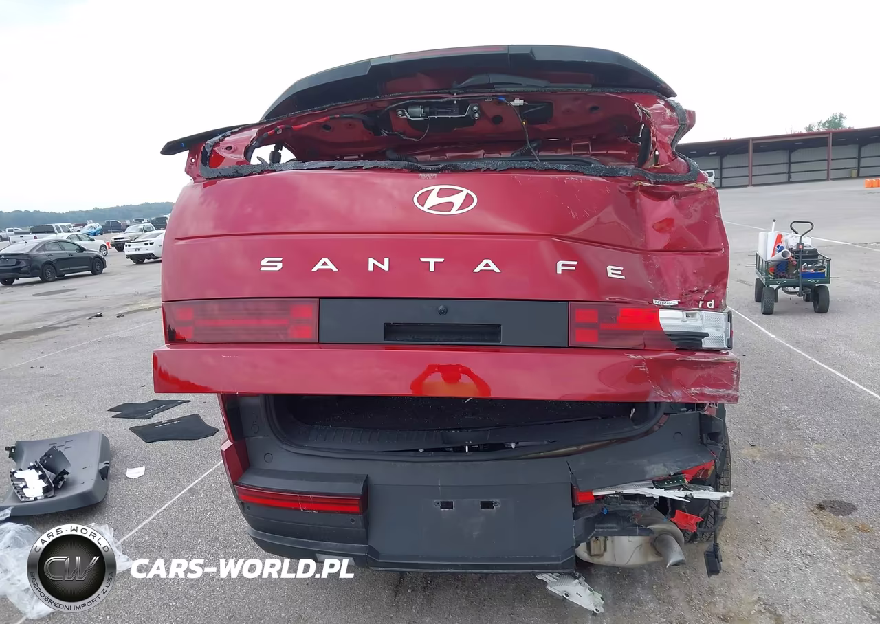 2025 Hyundai Santa Fe Hybrid Sel VIN:5NMP2DG19SH049098 - 6
