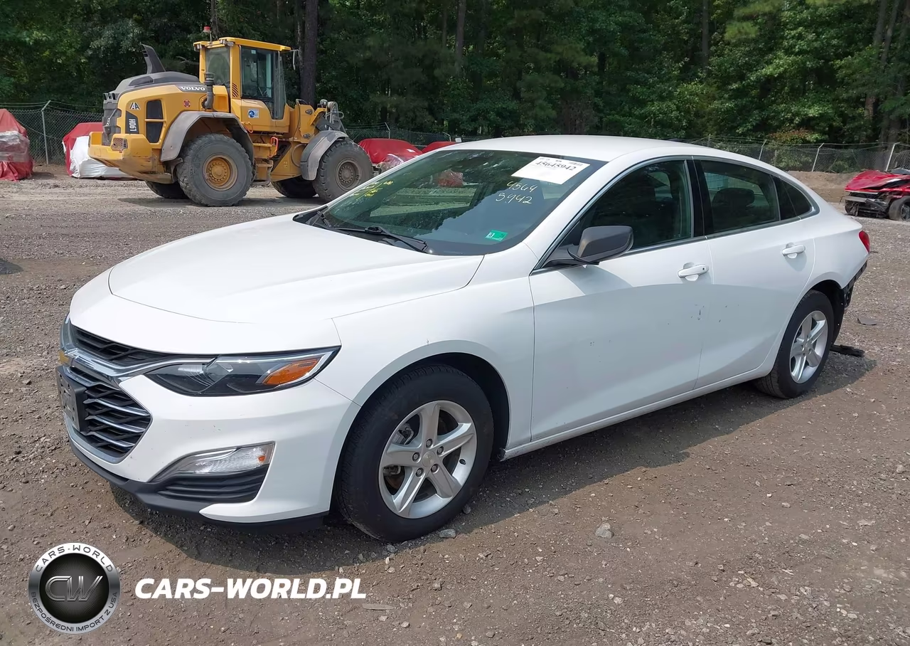 2023 Chevrolet Malibu Fwd 1Fl VIN:1G1ZC5ST6PF175470 - 2