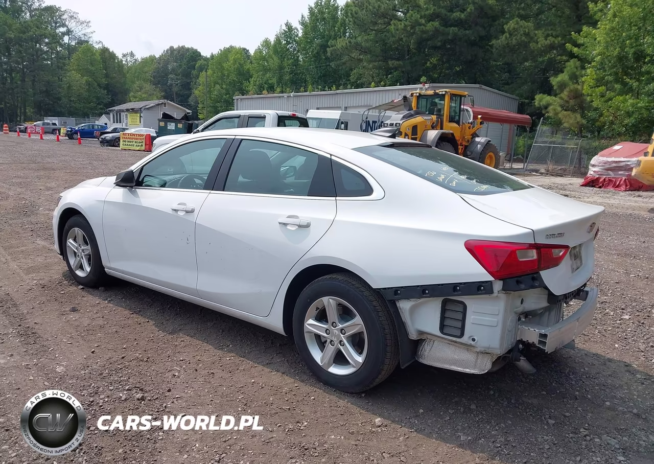 2023 Chevrolet Malibu Fwd 1Fl VIN:1G1ZC5ST6PF175470 - 3