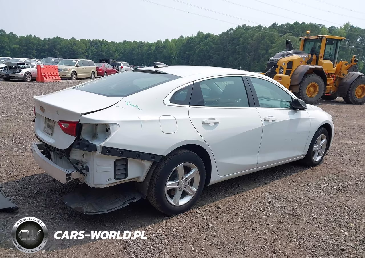 2023 Chevrolet Malibu Fwd 1Fl VIN:1G1ZC5ST6PF175470 - 4