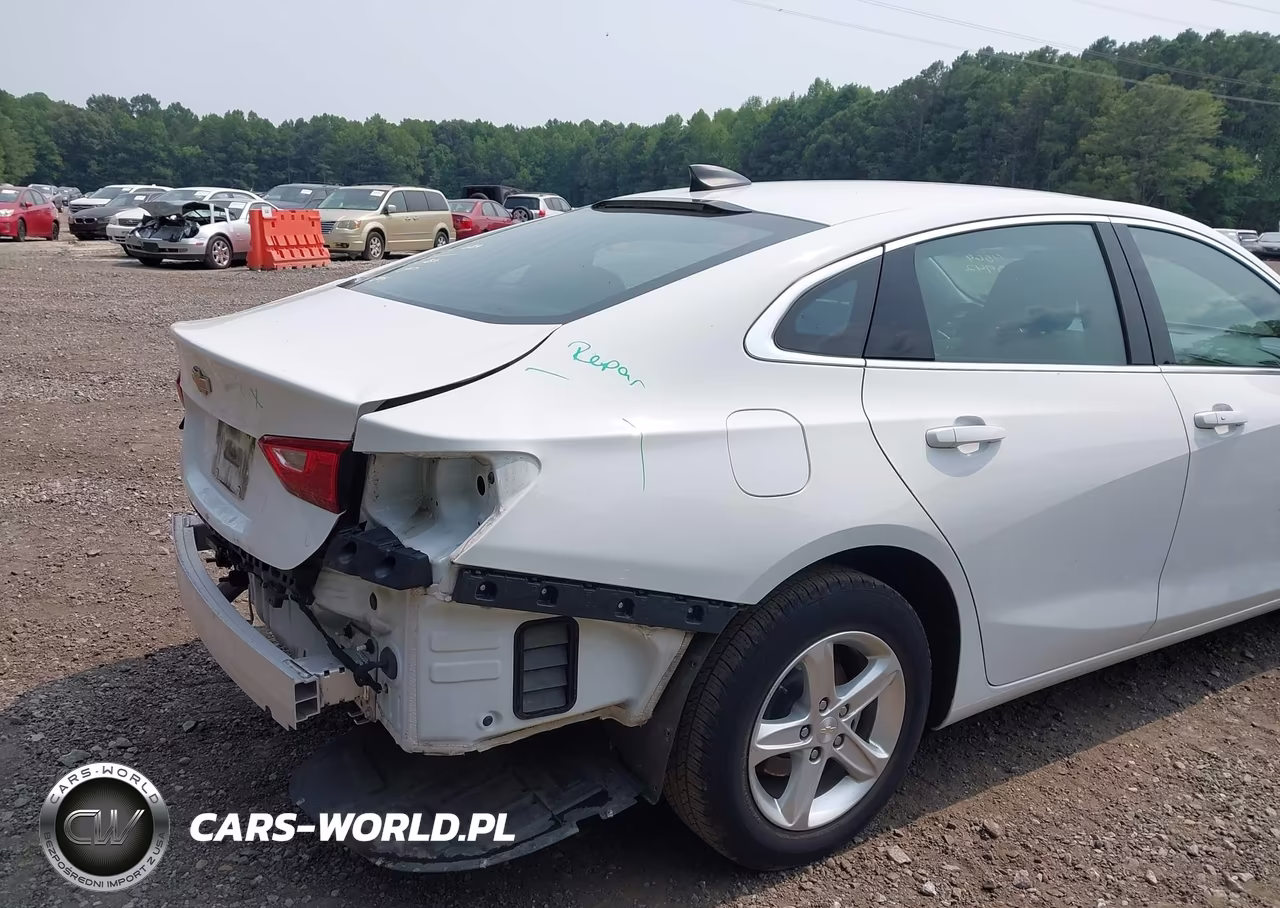 2023 Chevrolet Malibu Fwd 1Fl VIN:1G1ZC5ST6PF175470 - 6
