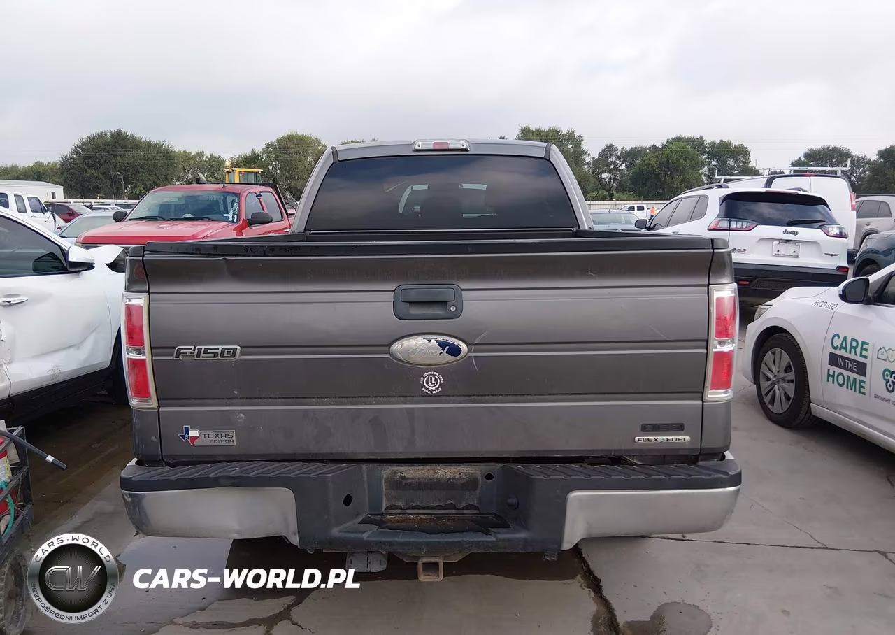 2011 Ford F-150 Xlt VIN:1FTEX1CM0BFD09876 - 16