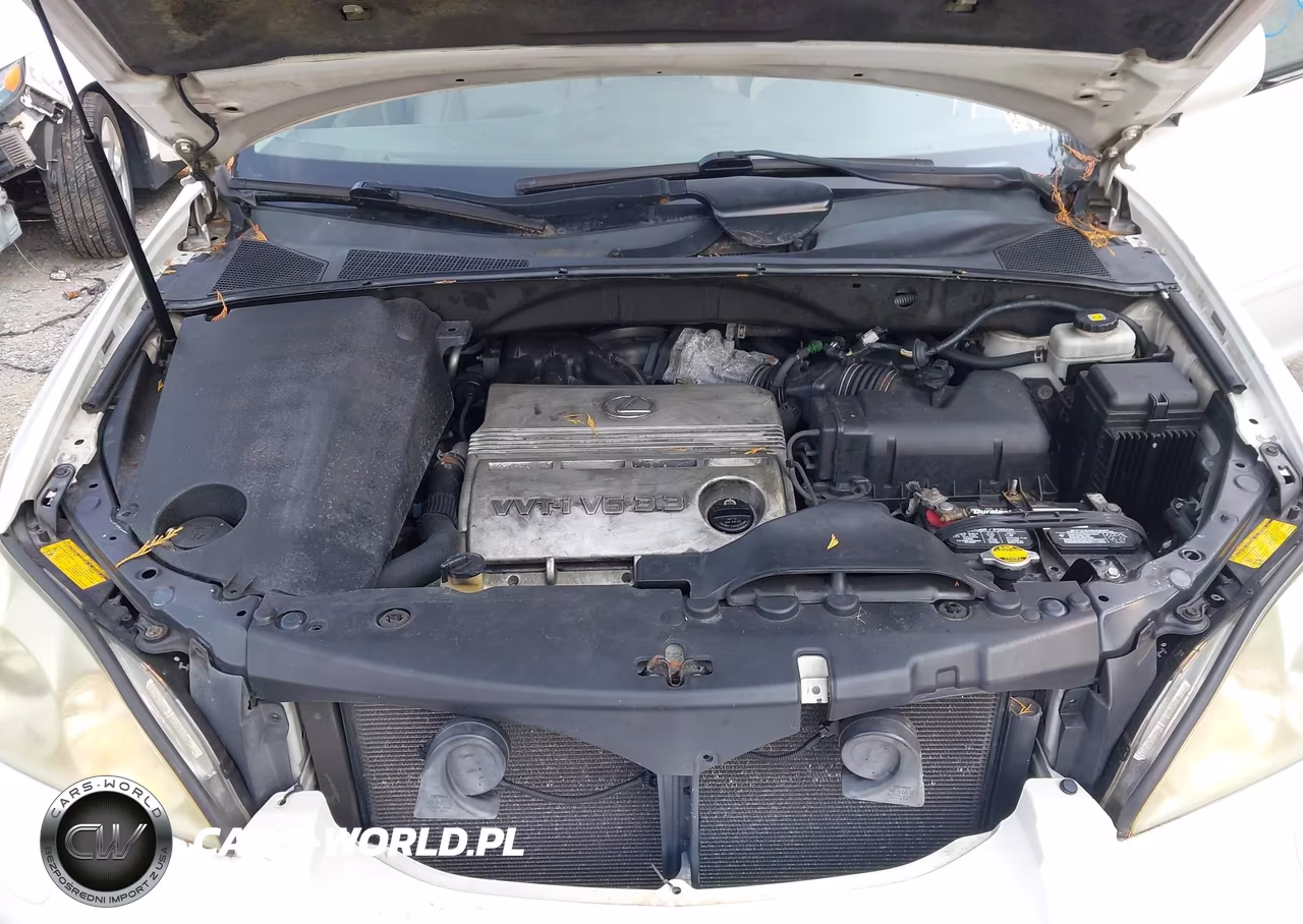 2004 Lexus Rx 330 VIN:2T2HA31U44C010511 - 10