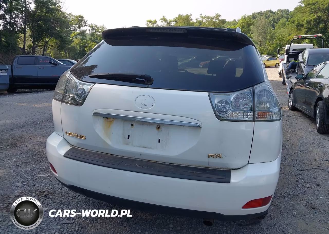 2004 Lexus Rx 330 VIN:2T2HA31U44C010511 - 17