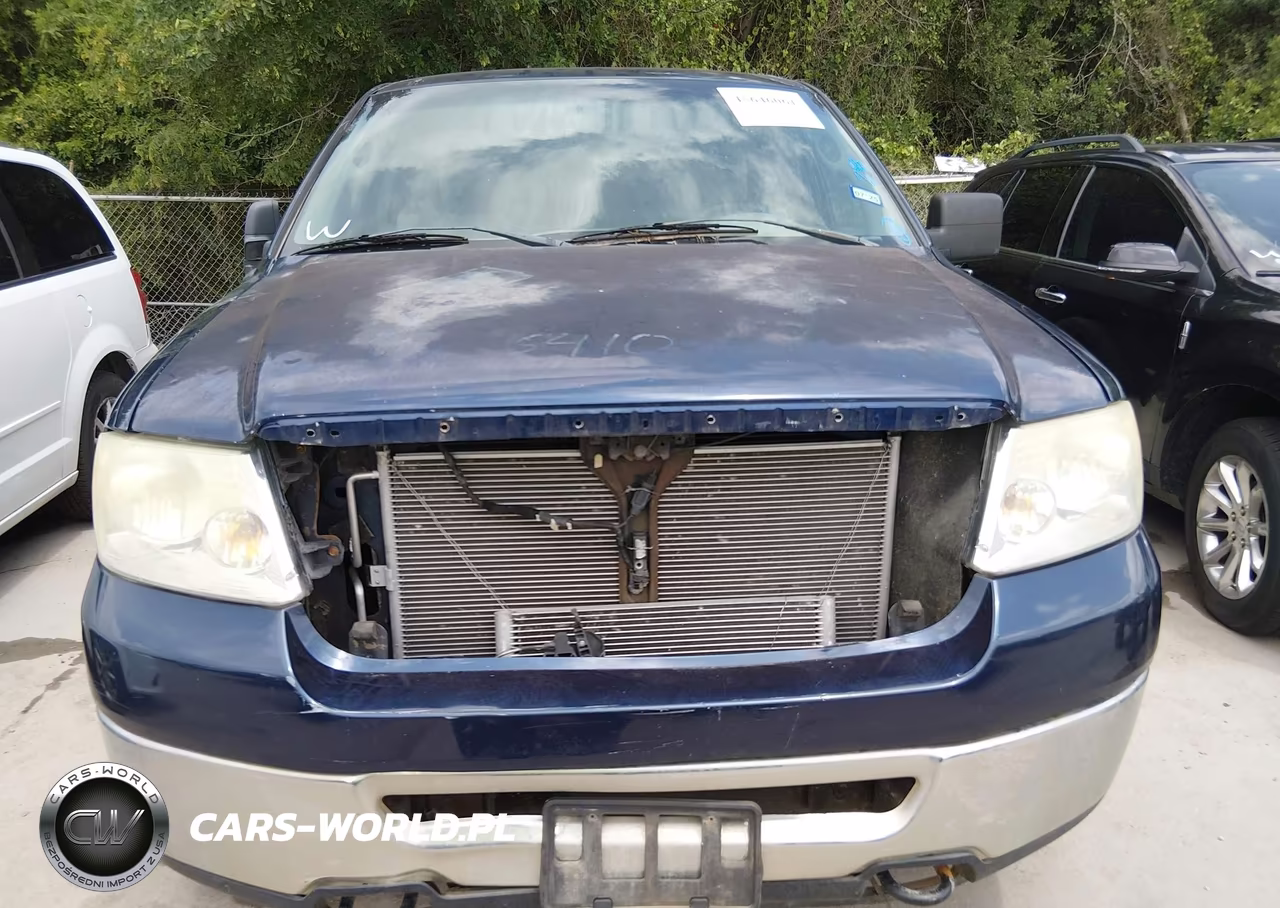 2006 Ford F-150 Fx4-Lariat-Xl-Xlt VIN:1FTPX14V56KD15511 - 6
