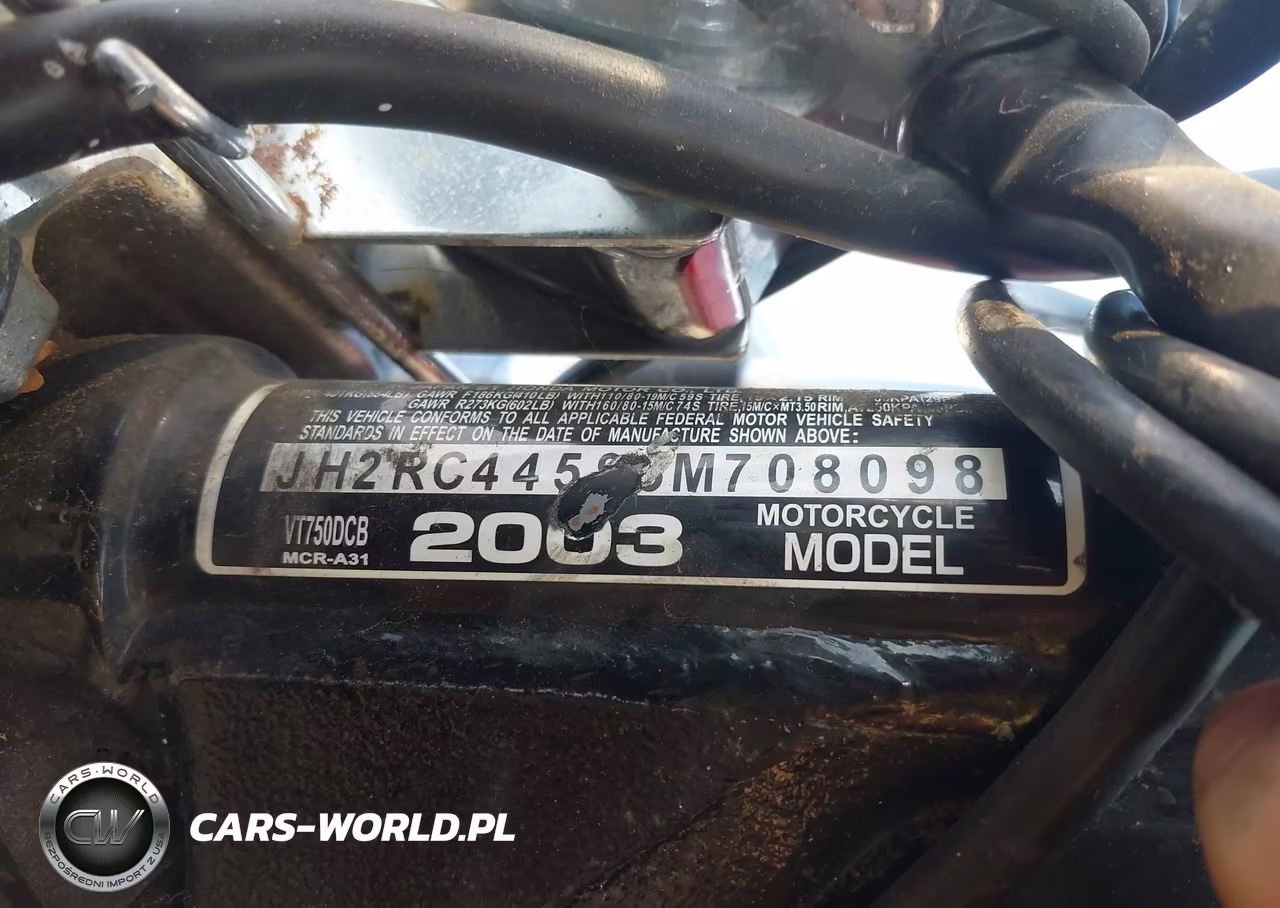 2003 Honda Vt750 Dcb VIN:JH2RC44593M708098 - 10