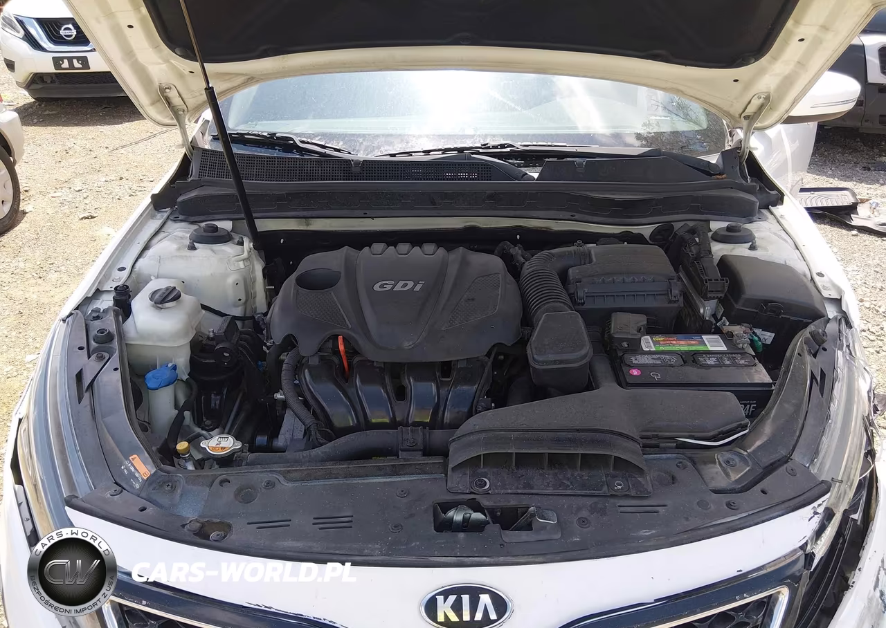 2015 Kia Optima Lx VIN:KNAGM4A74F5538621 - 10