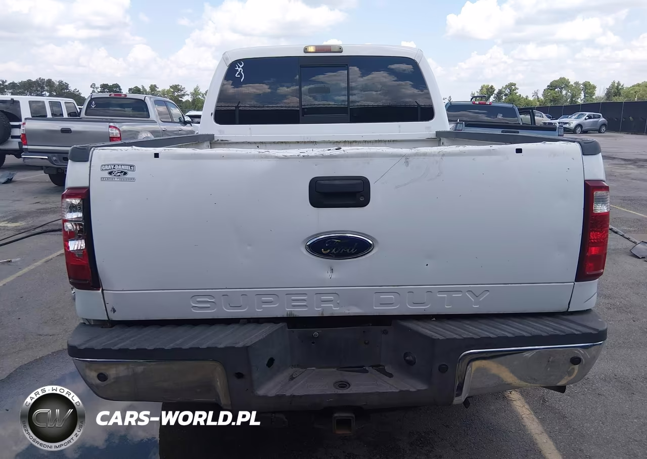 2008 Ford Super Duty F-250 Srw Fx4-Harley-Davidson-King Ranch-Lariat-Xl-Xlt VIN:1FTSW21R38EA35808 - 17