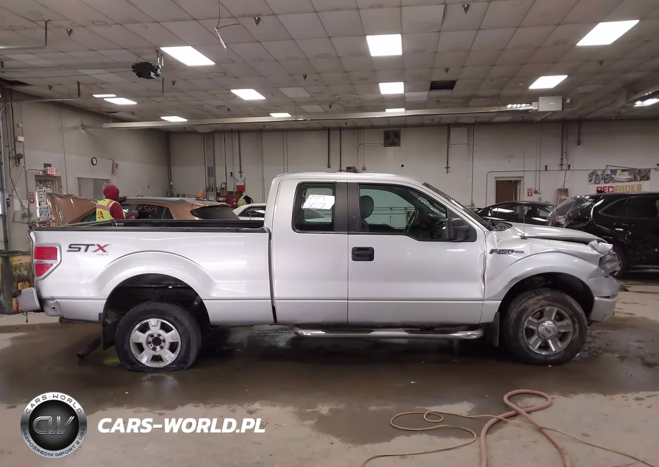 2014 Ford F-150 Stx VIN:1FTFX1EF0EFB54186 - 13