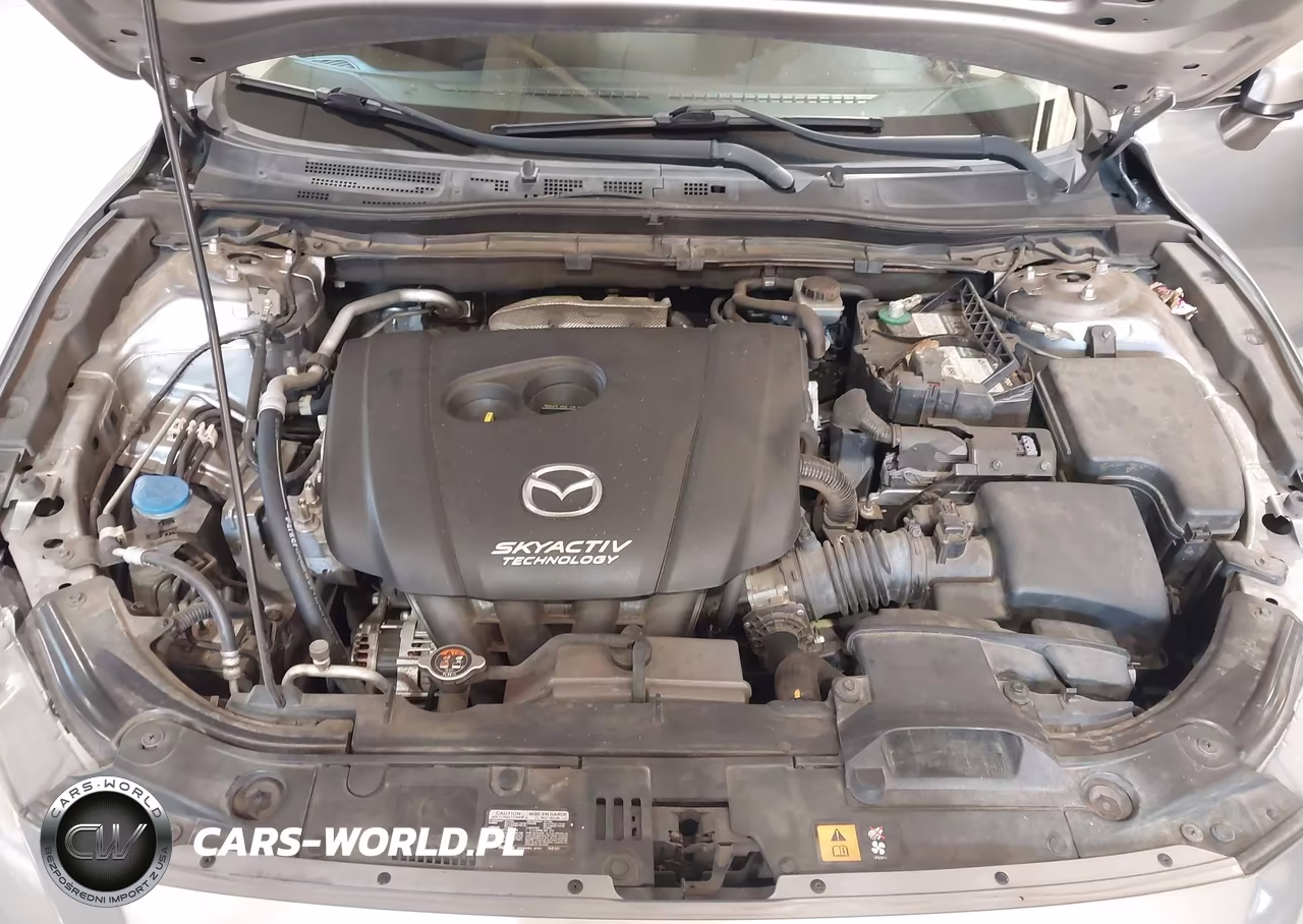 2015 Mazda Mazda3 I Touring VIN:JM1BM1V74F1269274 - 10