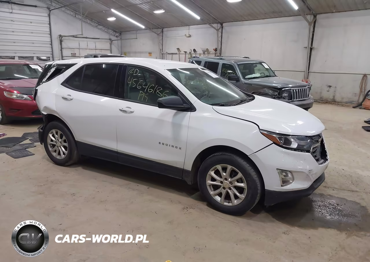 2019 Chevrolet Equinox Ls – zdjęcie 1 z 17