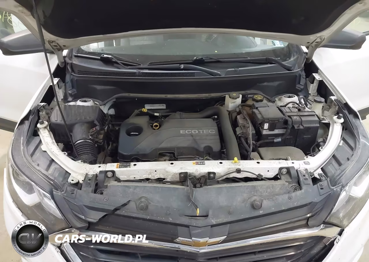 2019 Chevrolet Equinox Ls VIN:2GNAXSEV5K6120619 - 10