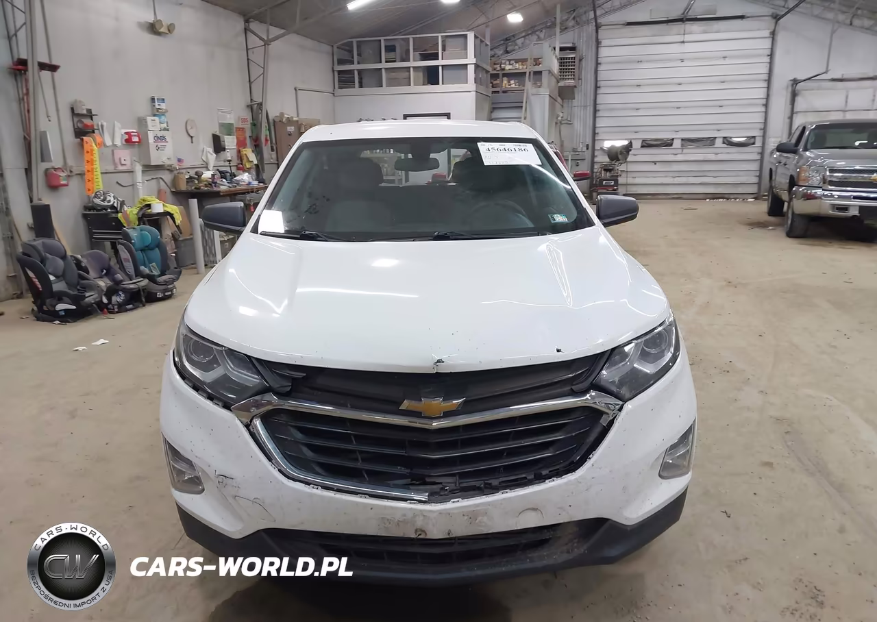 2019 Chevrolet Equinox Ls VIN:2GNAXSEV5K6120619 - 13