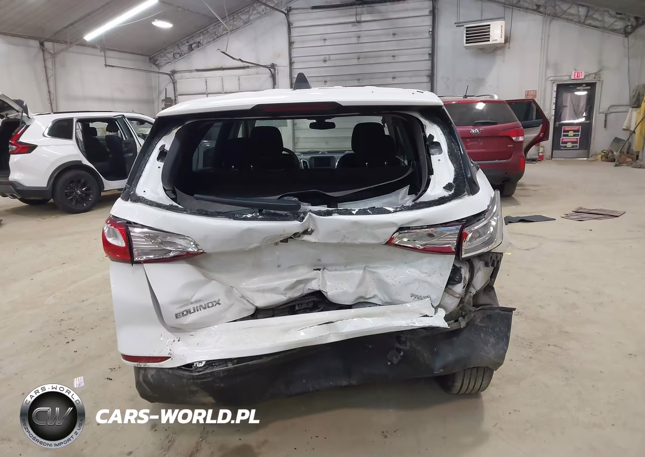 2019 Chevrolet Equinox Ls VIN:2GNAXSEV5K6120619 - 17