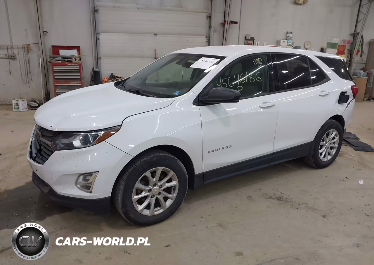 2019 Chevrolet Equinox Ls VIN:2GNAXSEV5K6120619 - 2
