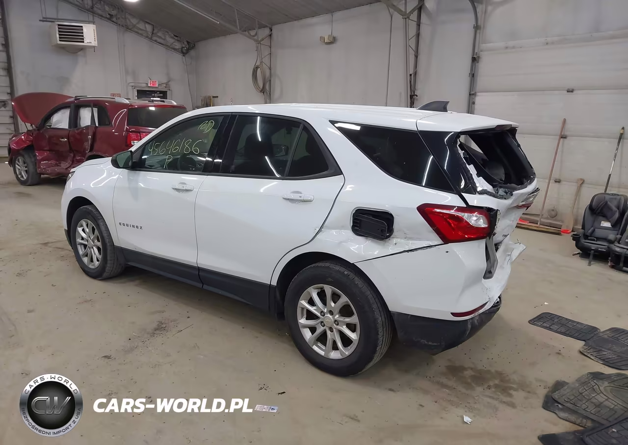 2019 Chevrolet Equinox Ls VIN:2GNAXSEV5K6120619 - 3