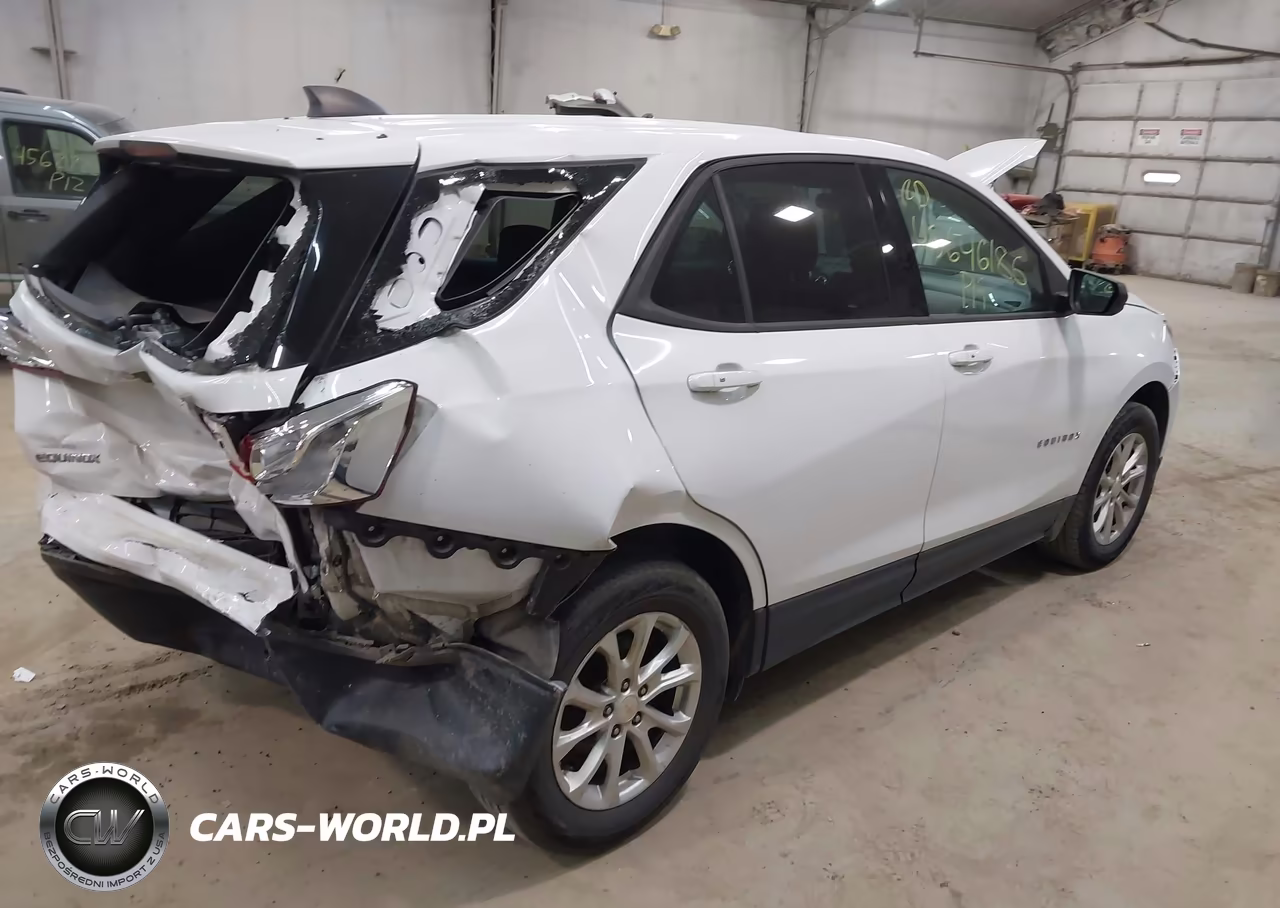 2019 Chevrolet Equinox Ls VIN:2GNAXSEV5K6120619 - 4