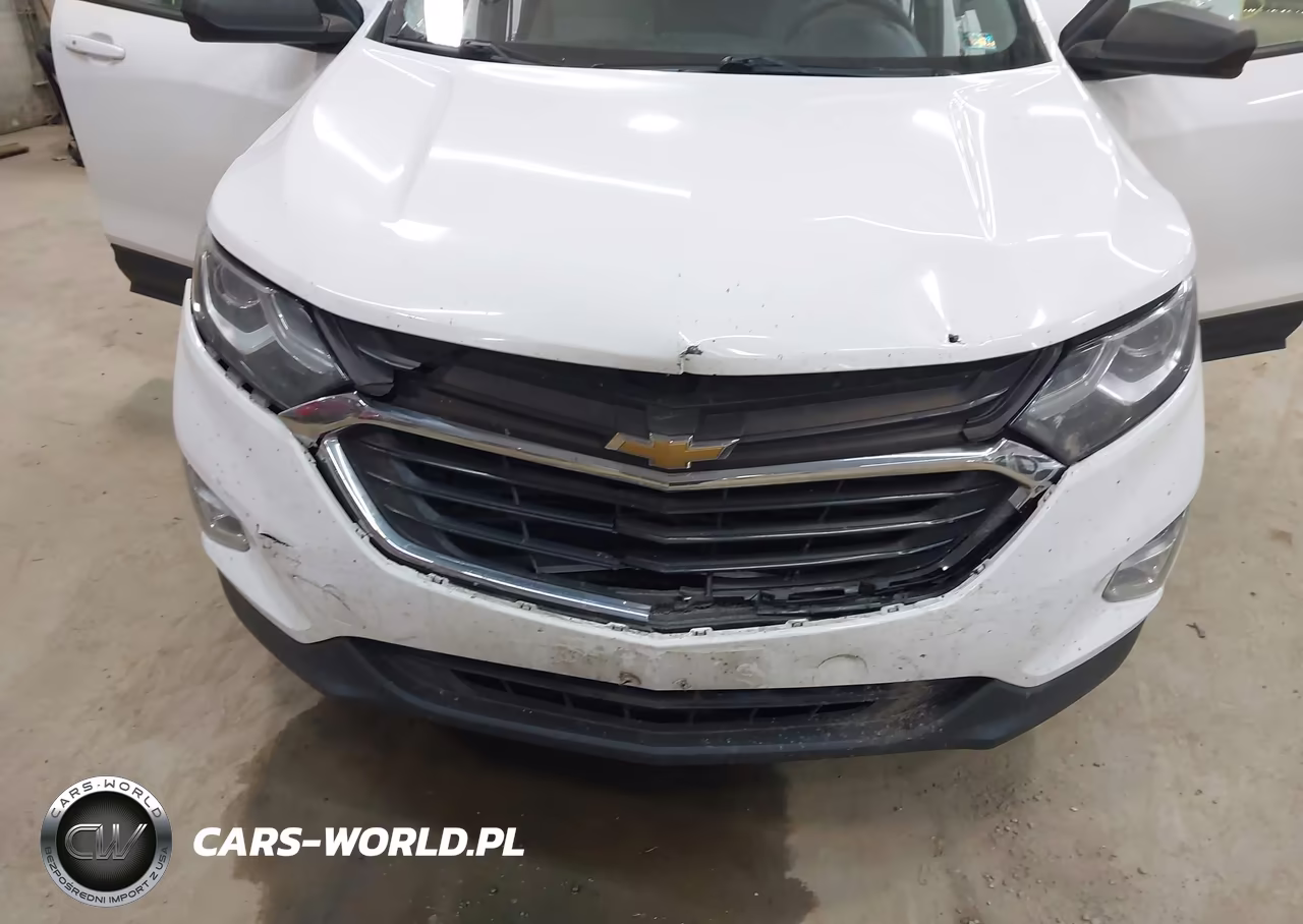 2019 Chevrolet Equinox Ls VIN:2GNAXSEV5K6120619 - 6