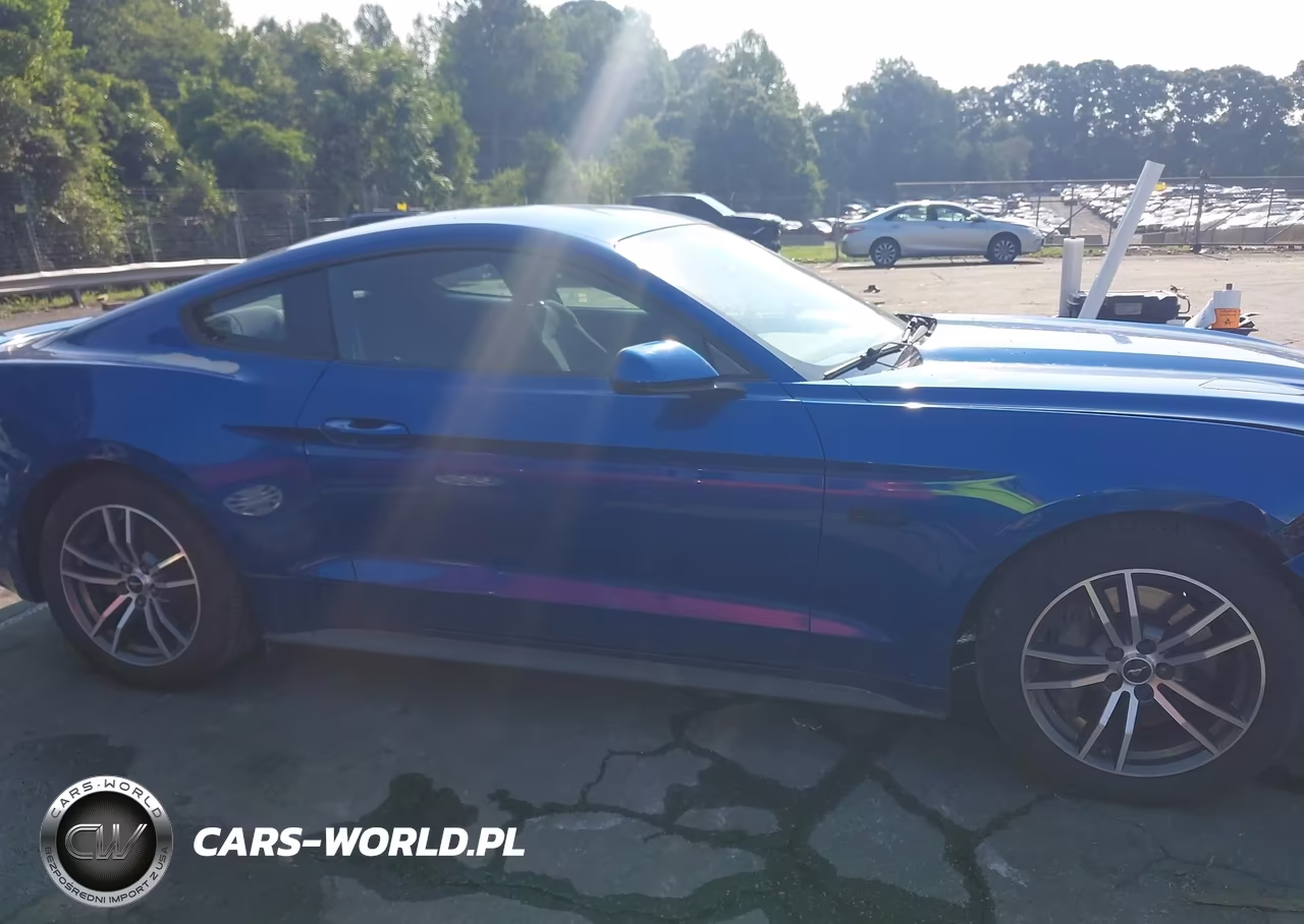 2017 Ford Mustang Gt VIN:1FA6P8CF5H5240590 - 13
