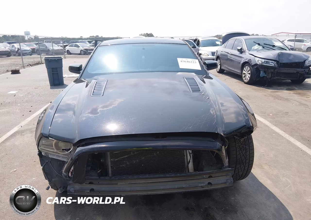 2014 Ford Mustang Gt Premium VIN:1ZVBP8CF6E5303813 - 12