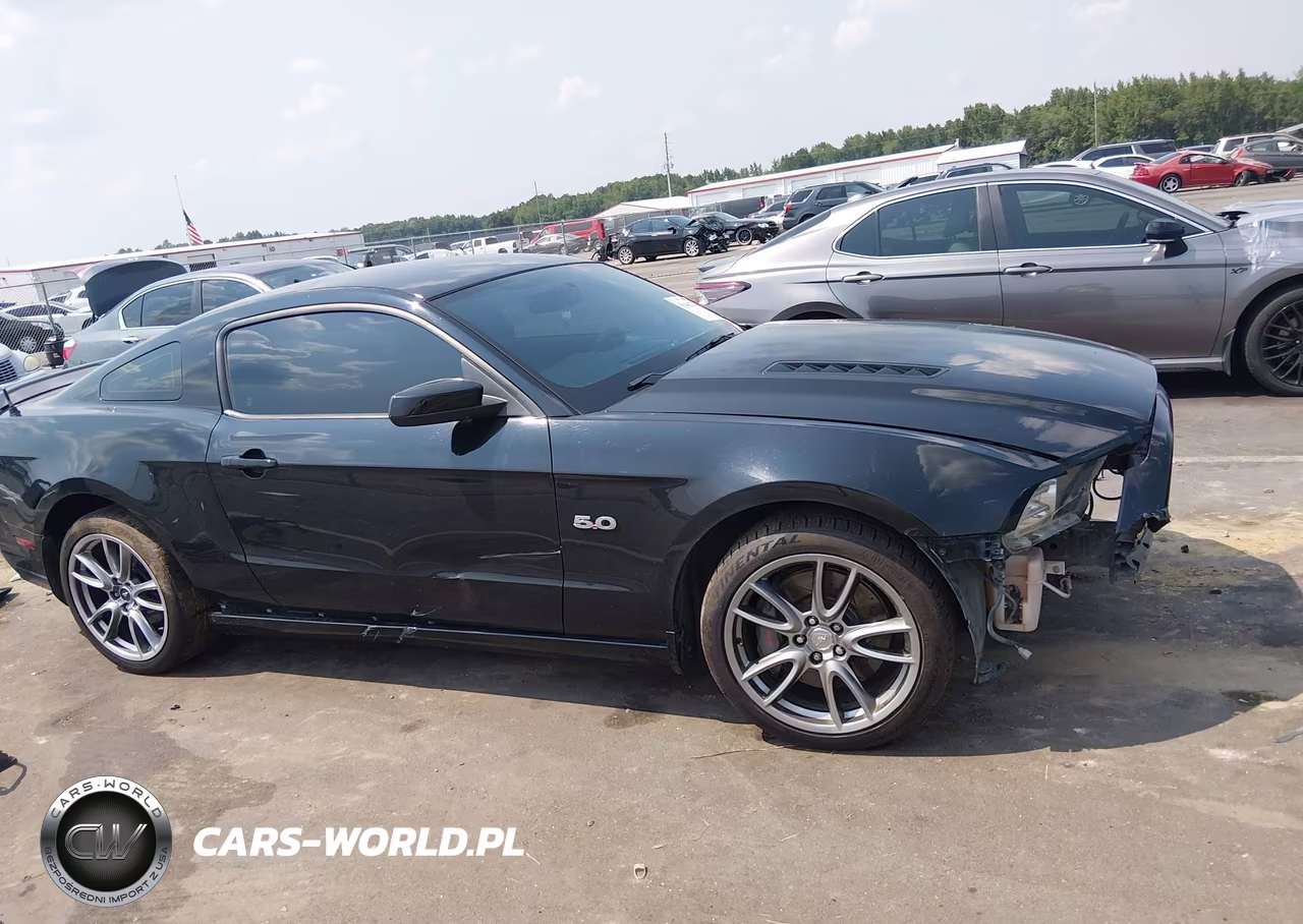 2014 Ford Mustang Gt Premium VIN:1ZVBP8CF6E5303813 - 13