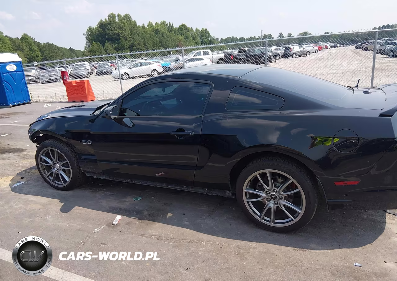 2014 Ford Mustang Gt Premium VIN:1ZVBP8CF6E5303813 - 14
