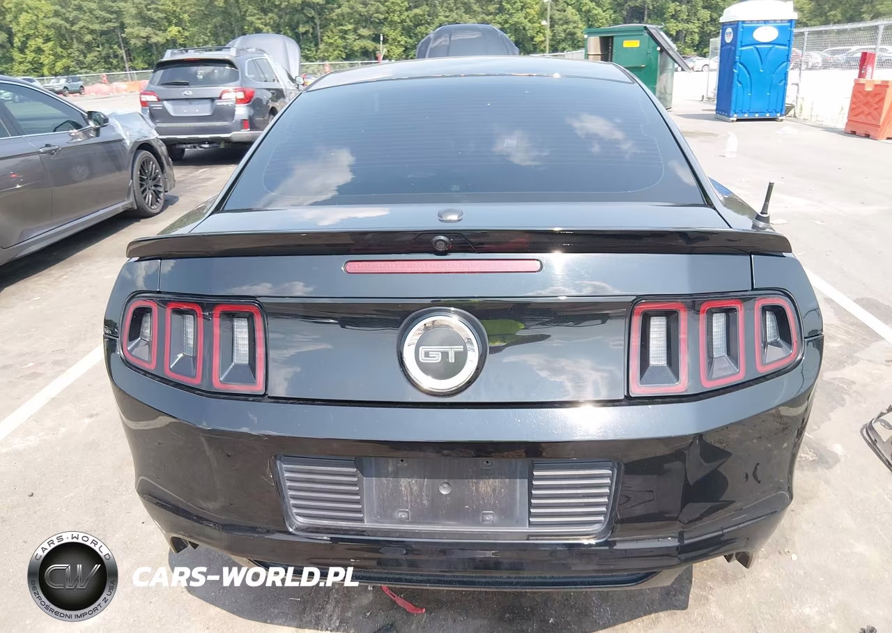 2014 Ford Mustang Gt Premium VIN:1ZVBP8CF6E5303813 - 16